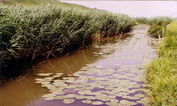 Kanal za snabdevanje vodom